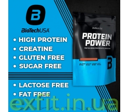 Protein Power (500 грамм)