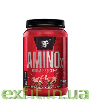 BSN Amino X (1,01 кг)