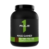 Mass Gainer (2,6 kg)