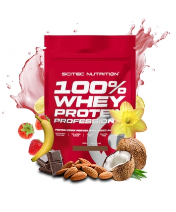 Scitec Nutrition 100% Whey Protein Professional (500 g) Scitec Nutrition 100% Whey Protein Professional (500 g)